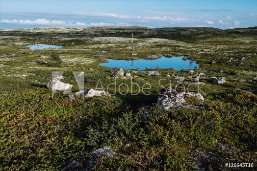 Picture of Tundra landscape Russia